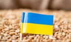 An agreement allowing Ukraine to export grain has been continued.