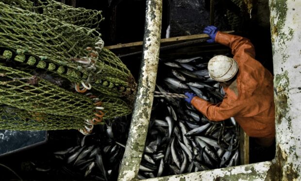 Fisherman at sea.