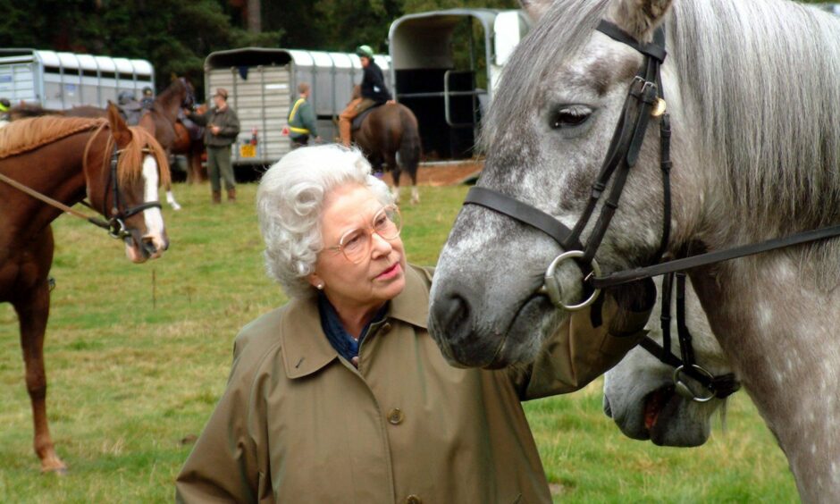 Queen Elizabeth at a charity horse riding event at Balmoral Estate. 