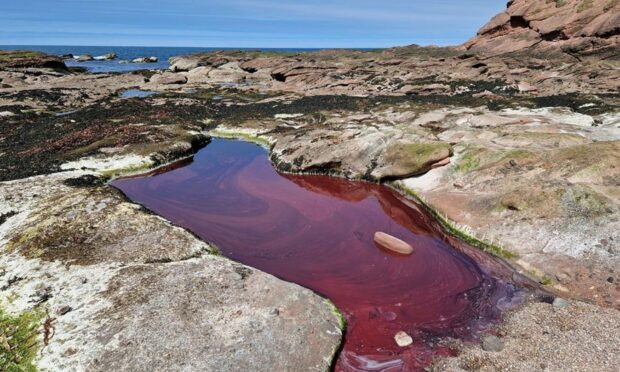 A red rockpool on the Moray Firth coast.