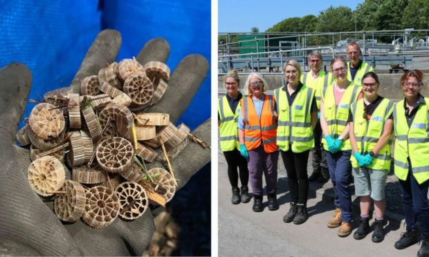 The biofilters with a team of stakeholders at the Ellon site.