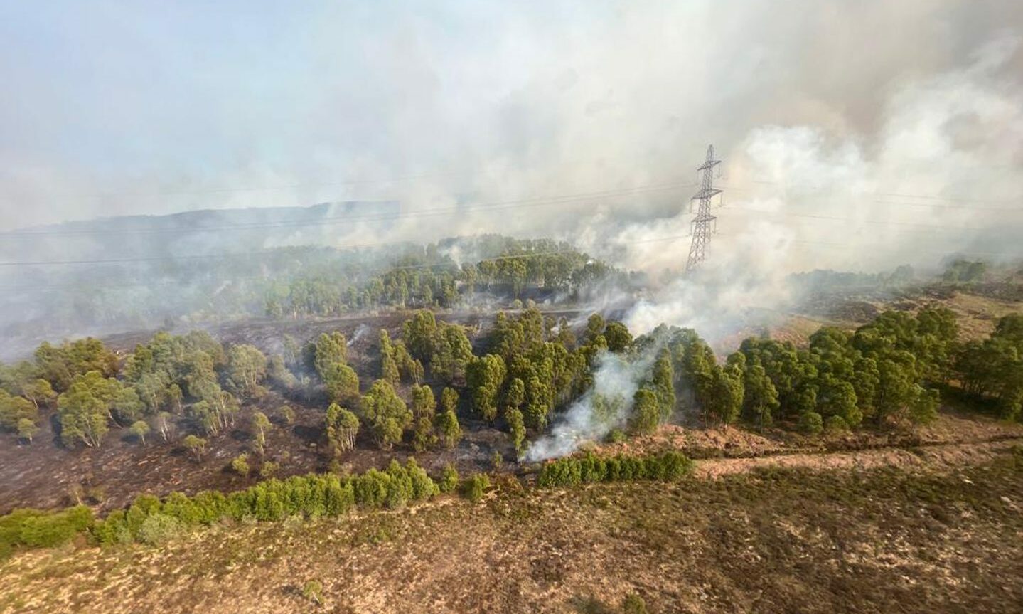 View of Cannich wildfire from a helicopter, showing smoke rising above trees with a powerline running through the forest. 