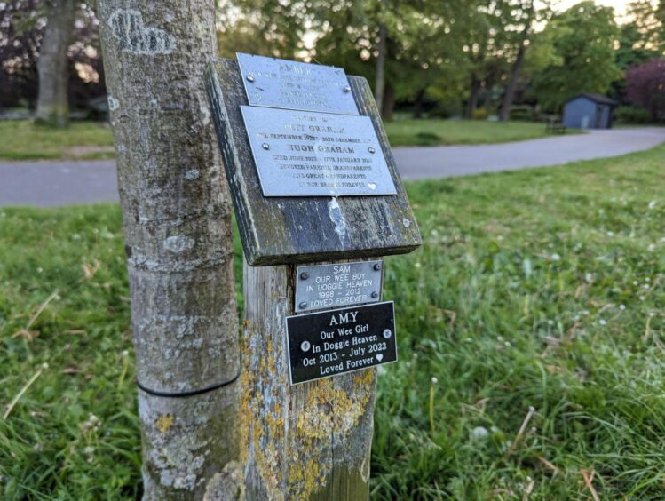 Memorial plaques found in Aberdeen's Duthie Park