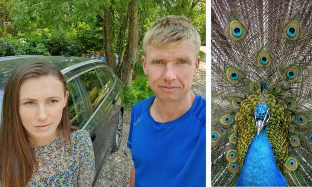 Collage: Left image shows Robyn King, wearing a flowery top, next to Andrew King, in a blue t-shirt, standing in front of their black BMW estate in a leafy hotel car park.