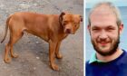 Brian Scott admitted his dog Bailey was dangerously out of control. Image: Facebook