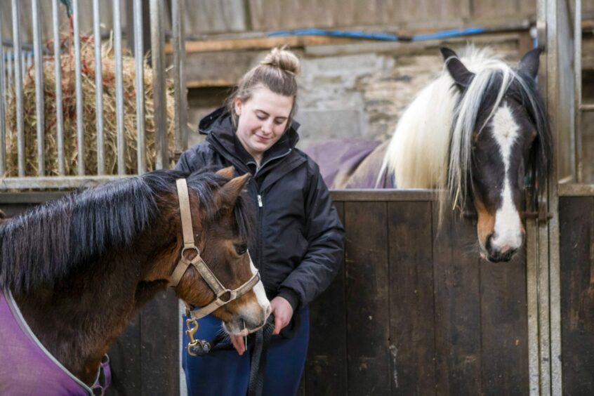 Student looking after horse in the stables at UHI North Highland