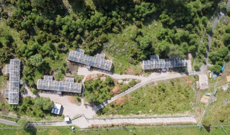 Aerial view of the pre-release enclosures.