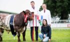 Kenny, Sally and Rebecca Mair from Kinnermit won the beef breeder native championship