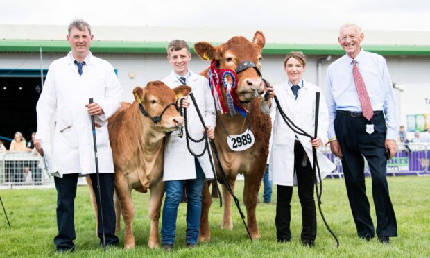 The overall beef cattle champion was the Limousin Grahams Ruth, shown with her October-born heifer.