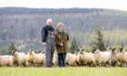 David and Susan Johnstone manage Ballindalloch Home Farm.