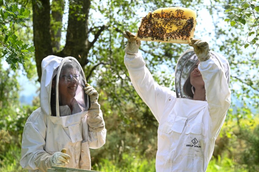 Anna and Kaya examine a hive.
