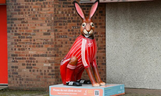Gothenburg Great hare outside Pittodrie Stadium in Aberdeen