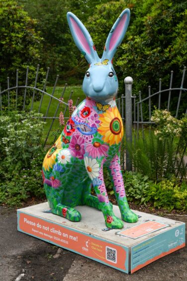 The Hare of Hopeby RedBetty - Natural Quirks at Victoria Park in Aberdeen
