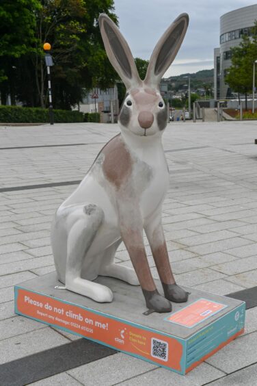 Tri Hare by Ann Falconer at Robert Gordon University in Aberdeen