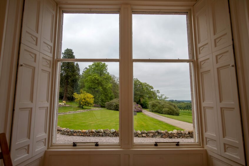 The view of the garden from one of the windows