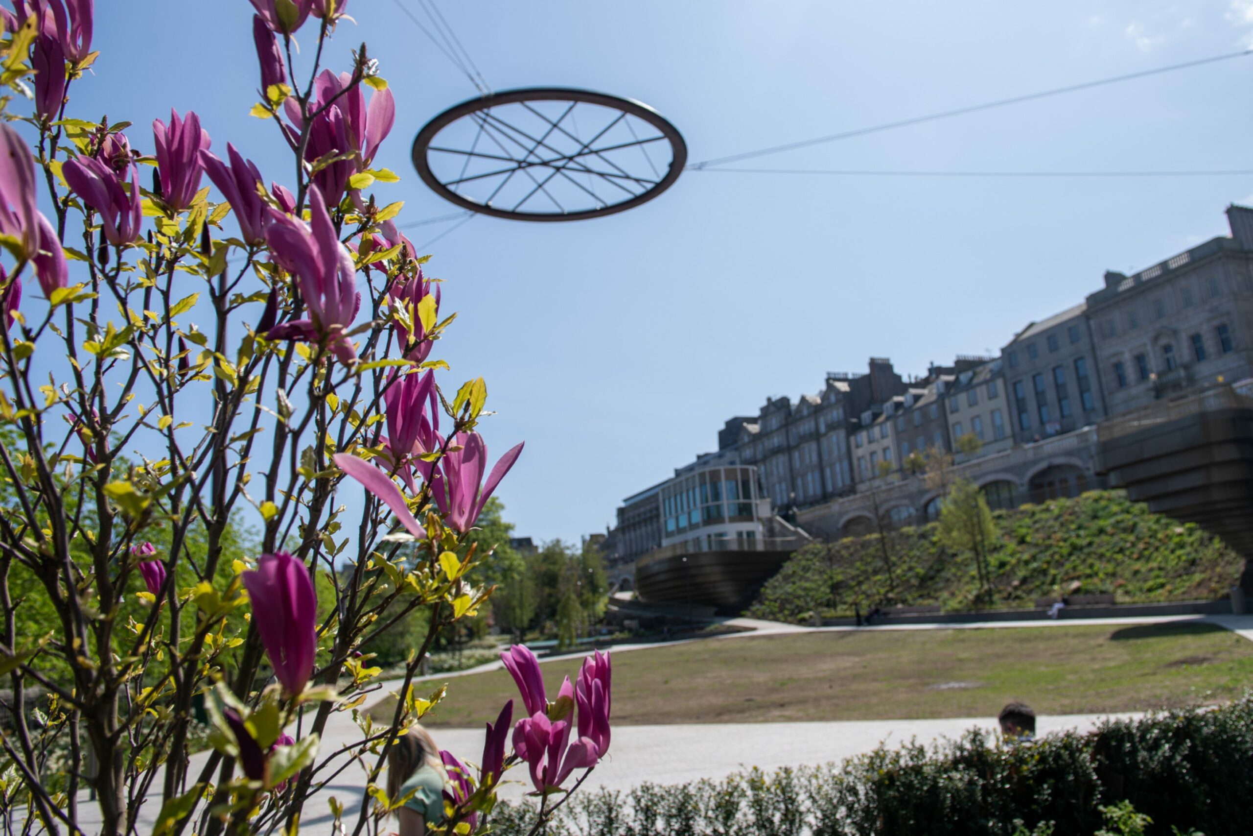 Union Terrace Gardens is coming alive as summer arrives in Aberdeen. Image: Alastair Gossip/DC Thomson