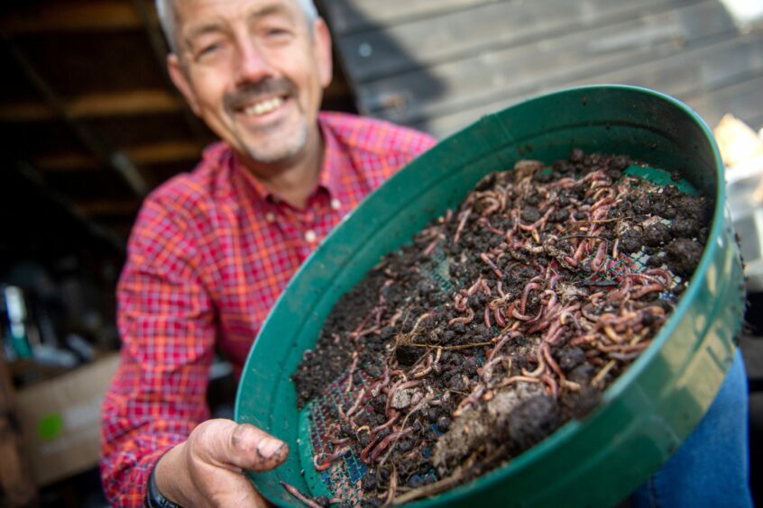 Aberdeenshire worm farmer Scott Baxter holding a bucket of worms.