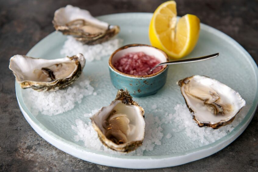 Plate of oysters.