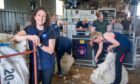 Sheep shearing training day, at Dalbog Farm, Edzell. Image: Kami Thomson/DC Thomson