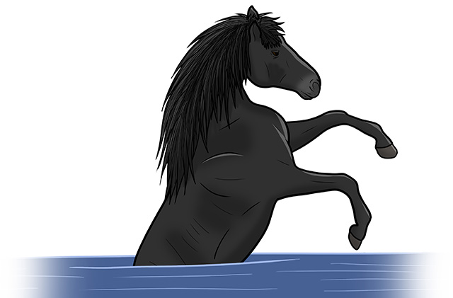 An illustration of a kelpie in the water