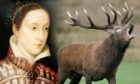 Mary Queen of Scots enjoyed a Royal Hunting in the Highlands, but at cost to human life. Image: DCT Design/Shutterstock