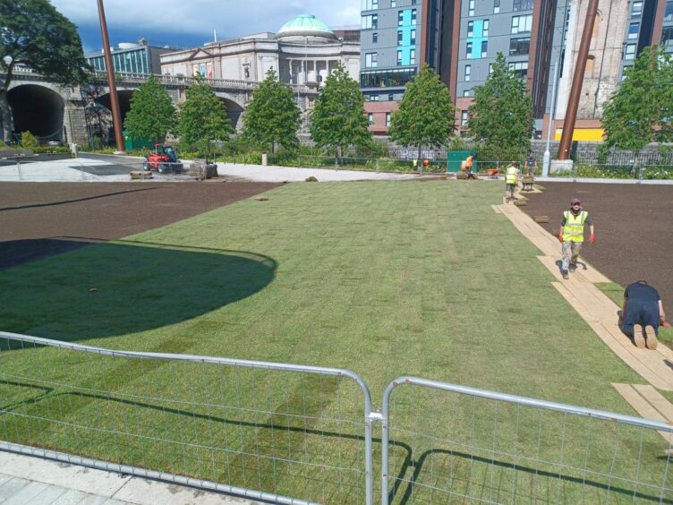 The new turf at Union Terrace Gardens.