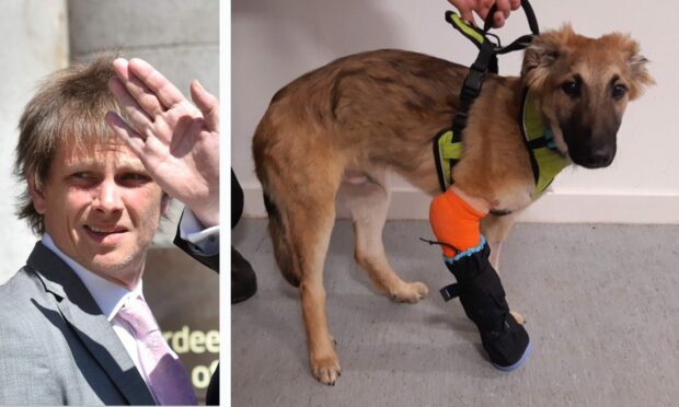 Luke Kildare neglected to take his injured dog Fatty to the vet. Images: DC Thomson/SSPCA