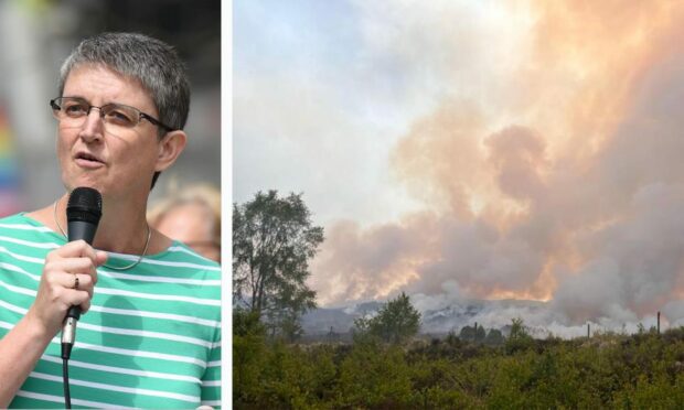 North East MSP Maggie Chapman asked the Scottish Government and the UK Government to support the fire services fight against wildfires following the Cannich fire. Image: Simon McLaughlin, RSPB Scotland and Paul Glendell/ DC Thomson,