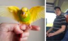 Kieran White was told he can't have a dog for ten years but he is allowed a budgie. Images: Shutterstock/Facebook