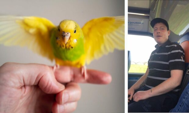 Man’s dog ban doubled but sheriff tells him he can have a budgie instead