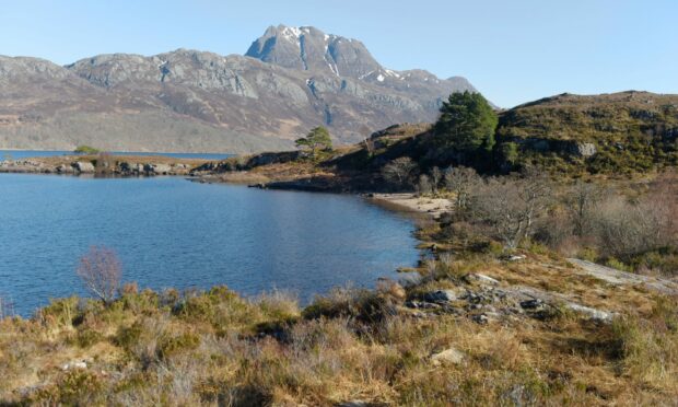 The Loch Maree area has increased to Moderate scarcity in the Highlands.