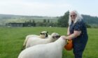 Anne Henderson was given help to take a break from her caring responsibilities and enjoy her passion for a rare breed of sheep. Image: Sandy McCook / DC Thomson.