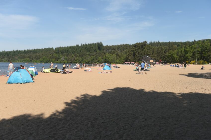 Evidence of wildfires at Loch Morlich beach with day trippers gathering on the sunny beach in the background. 