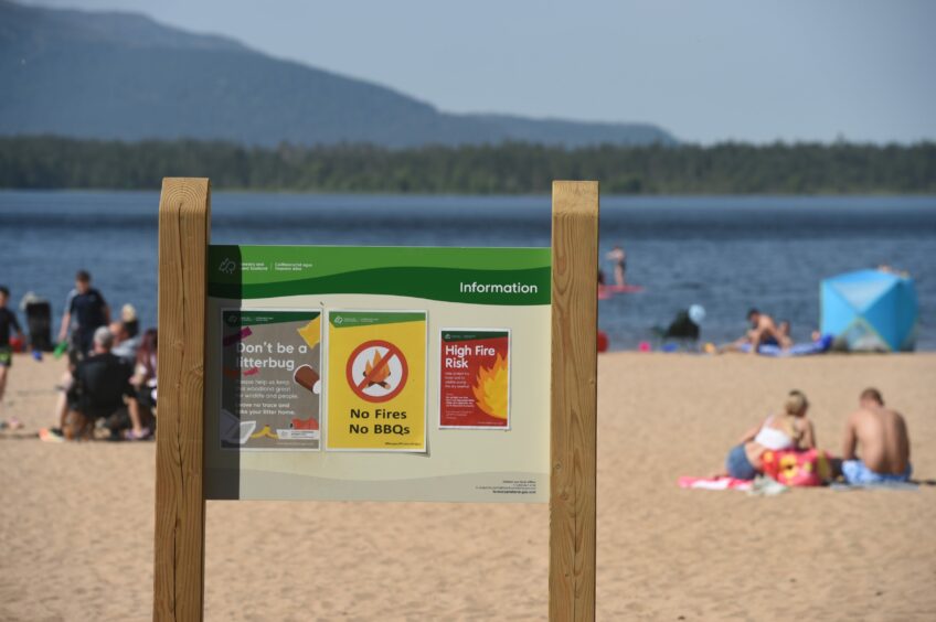 Evidence of wildfires at Loch Morlich beach with day trippers gathering on the sunny beach in the background. 