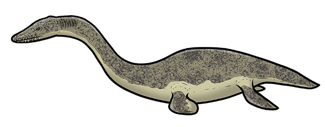 An illustration of a plesiosaur