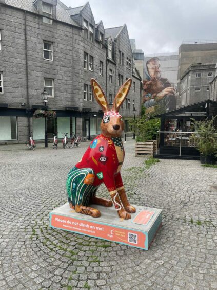 Hare Ahoy by Hannah Lewin at The Green in Aberdeen