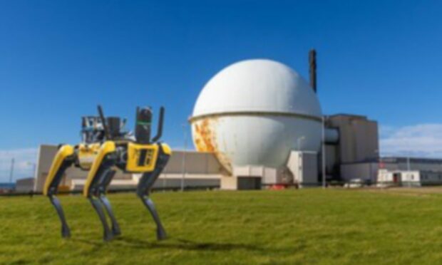 The robot dogs are being used to monitor and survey areas around Dounreay