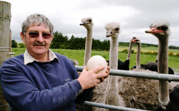 The Parkhead farmer who crashed into cyclists