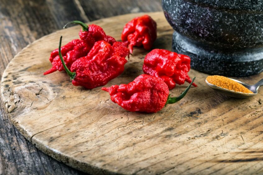 The Carolina Reaper pepper.