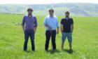 The Hamilton brothers farm with their mum Vanessa and run 2,800 breeding ewes and 900 suckler cows.