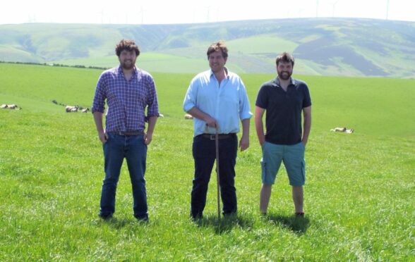 The Hamilton brothers farm with their mum Vanessa and run 2,800 breeding ewes and 900 suckler cows.