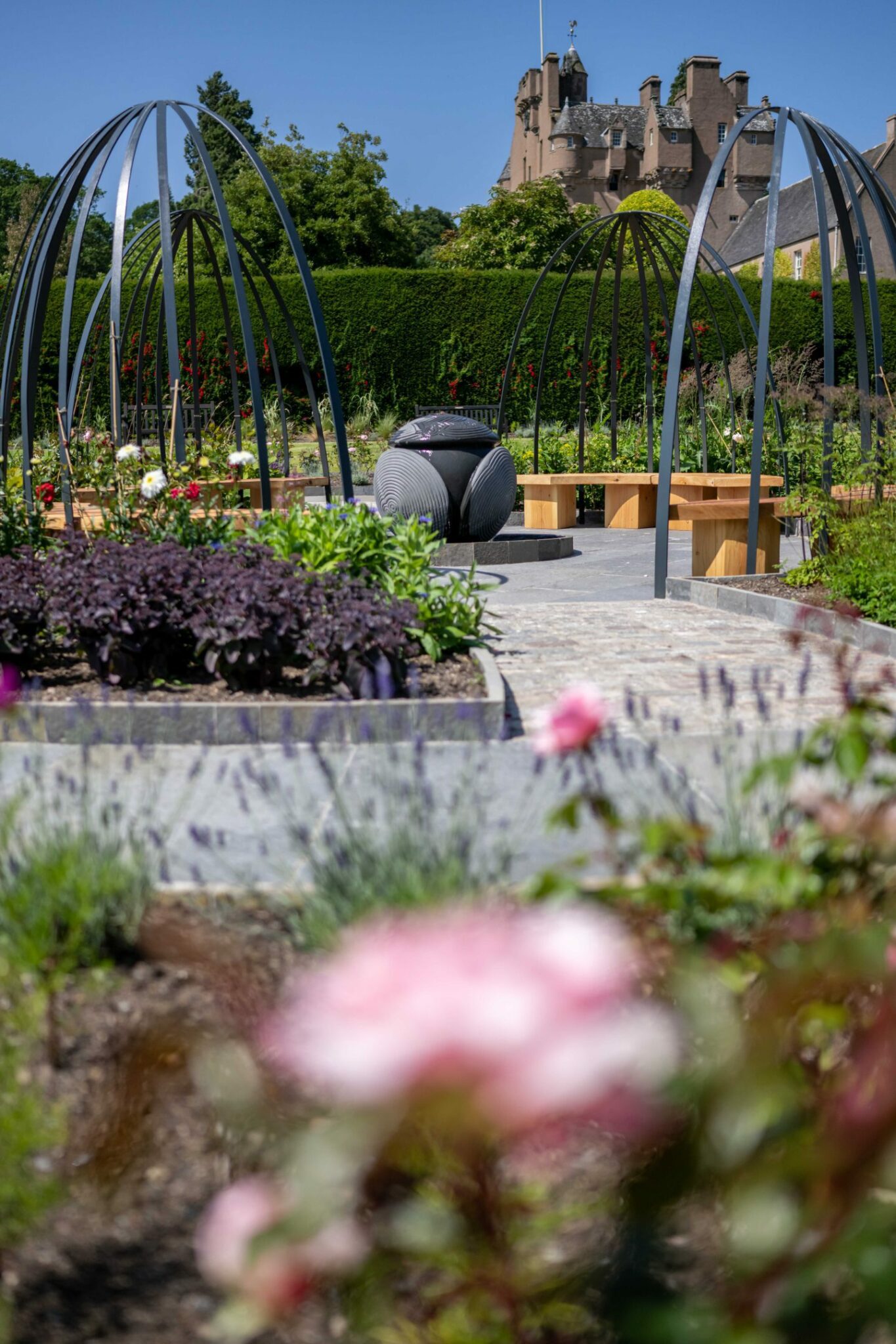 Crathes Castle rose garden 'reimagined' to inspire visitors