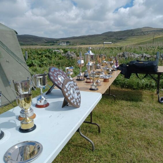 Trophies sitting on a table, with a rugged landscape in the background. <yoastmark class=