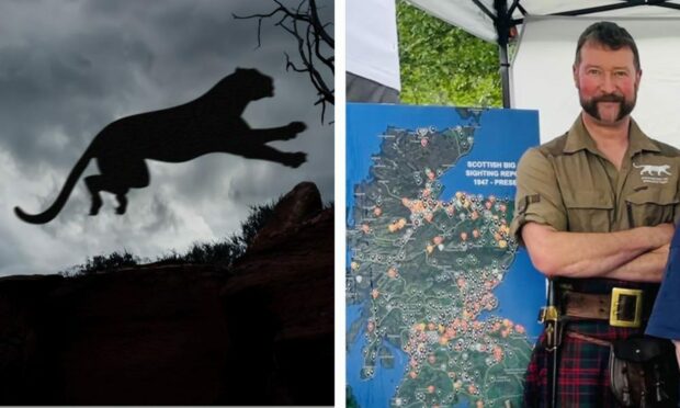Moray and Aberdeenshire have been noted as big cat sighting hotspots by an expert Image: Paul Macdonald/ Roddy Reid.