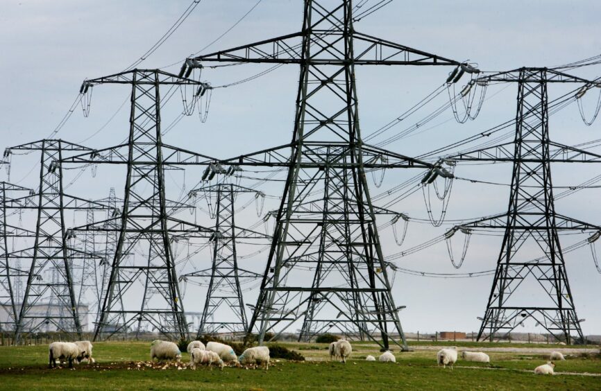 Power lines surrounded by fields and sheep.