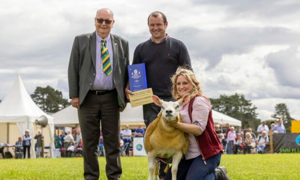 Eddie Gillanders placed the Texel ewe lamb as champion of champions from Darren Irvine and Michelle Hanson. Pictures by Anne MacPherson