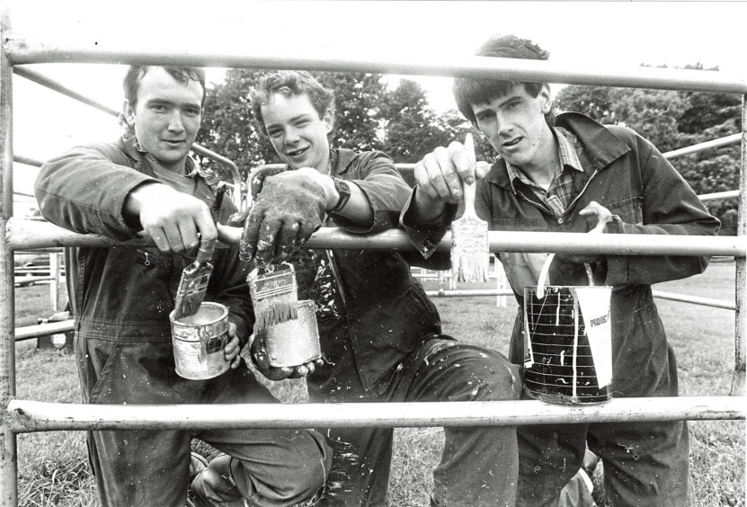 Three young men painting a fence. 
