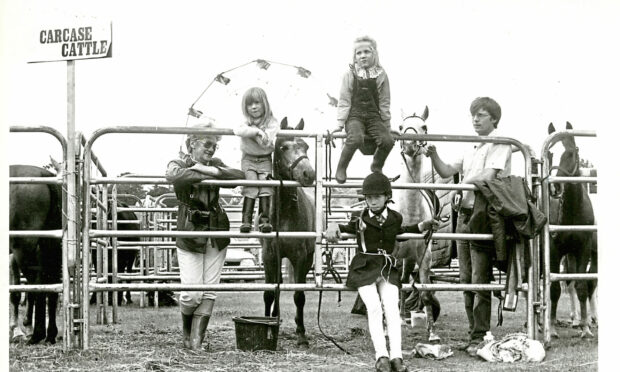Youngsters posing on a fence with some horses
