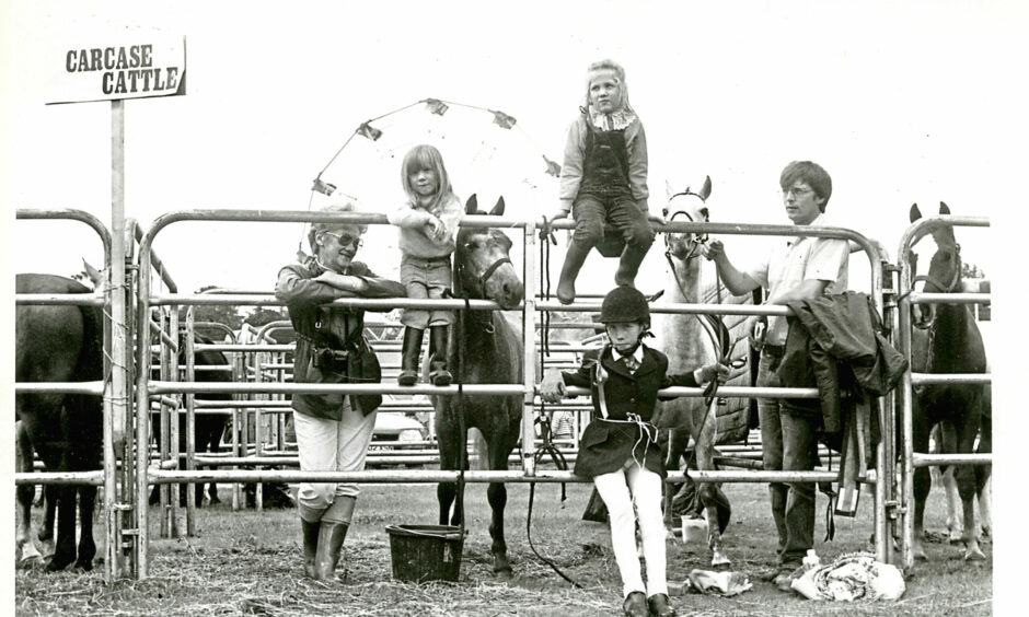 Youngsters posing on a fence with some horses. 