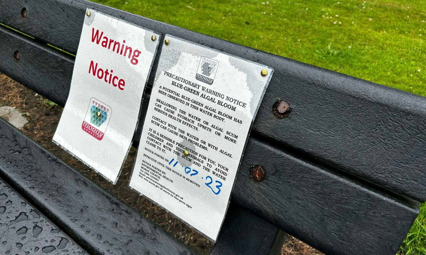 Warning notice erected to bench in Cooper Park. 